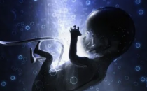 2月26日孕期母亲吸烟与胚胎发育延迟有关