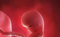 为发展中国家带来高质量胎儿超声的新项目
