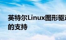 英特尔Linux图形驱动程序显示对多GPUXe的支持