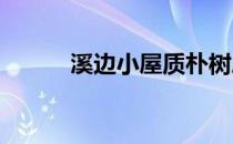 溪边小屋质朴树屋和户外天篷床