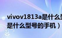 vivov1813a是什么型号手机（vivov1813a是什么型号的手机）