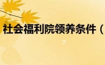 社会福利院领养条件（社会福利院收养条件）