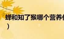 蝉和知了猴哪个营养价值高（蝉和知了一样吗）