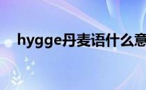 hygge丹麦语什么意思（hygge啥意思）