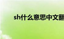 sh什么意思中文翻译（sh什么意思）