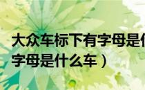 大众车标下有字母是什么意思（大众车标下有字母是什么车）