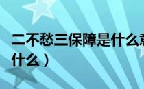 二不愁三保障是什么意思（二不愁三保障是指什么）