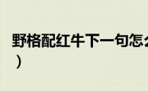 野格配红牛下一句怎么接（野格配红牛下一句）