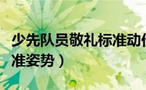 少先队员敬礼标准动作侧面（少先队员敬礼标准姿势）