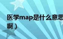 医学map是什么意思（医学map是什么意思啊）