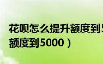 花呗怎么提升额度到500以上（花呗怎么提升额度到5000）