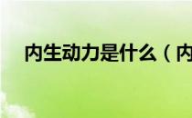 内生动力是什么（内生动力是什么意思）