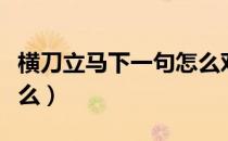 横刀立马下一句怎么对（横刀立马下一句是什么）