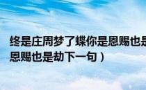 终是庄周梦了蝶你是恩赐也是劫释义（终是庄周梦了蝶 你是恩赐也是劫下一句）