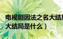 电视剧因法之名大结局介绍（电视剧因法之名大结局是什么）