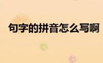 句字的拼音怎么写啊（句字的拼音是什么）