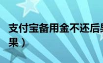 支付宝备用金不还后果（支付宝备用金不还后果）