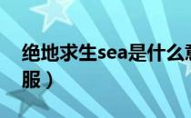 绝地求生sea是什么意思（绝地求生sea什么服）