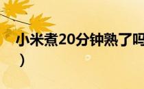 小米煮20分钟熟了吗（小米煮10分钟能熟吗）