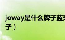 joway是什么牌子蓝牙耳机（joway是什么牌子）