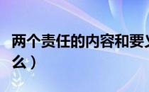 两个责任的内容和要义（两个责任的内容是什么）