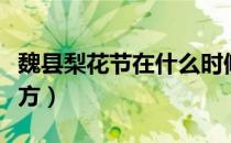 魏县梨花节在什么时候（魏县梨花节在什么地方）