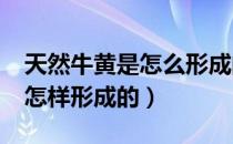 天然牛黄是怎么形成的?（牛黄是什么东西是怎样形成的）