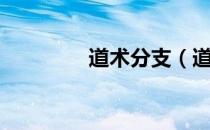 道术分支（道术分为几种）