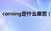 corning是什么意思（corning是什么公司）