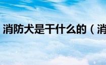 消防犬是干什么的（消防犬是用来做什么的）