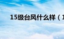 15级台风什么样（15级台风什么概念）