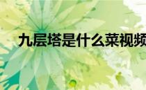 九层塔是什么菜视频（九层塔是什么菜）