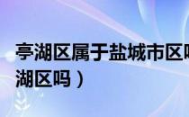 亭湖区属于盐城市区吗（盐城城南新区属于亭湖区吗）