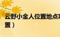 云野小金人位置地点攻略视频（云野小金人位置）