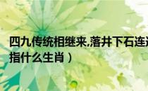 四九传统相继来,落井下石连连开哪个生肖（落井下石连连开指什么生肖）