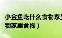 小金鱼吃什么食物家里有的（小金鱼吃什么食物家里食物）
