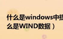 什么是windows中提供的硬件管理工具（什么是WIND数据）