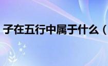 子在五行中属于什么（子在五行中属于什么）