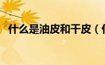 什么是油皮和干皮（什么是油皮和混油皮）