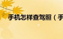 手机怎样查驾照（手机怎样查驾驶证分）
