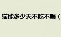 猫能多少天不吃不喝（猫能多少天不吃东西）