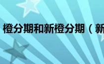 橙分期和新橙分期（新橙分期是哪家公司的）