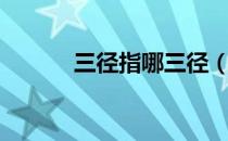 三径指哪三径（三径指哪三径）