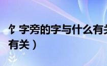 饣字旁的字与什么有关系（饣字旁的字与什么有关）