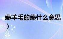 薅羊毛的薅什么意思（薅羊毛到底是什么意思）