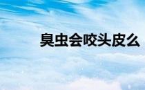 臭虫会咬头皮么（臭虫会咬人吗）