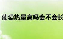 葡萄热量高吗会不会长胖（葡萄热量是多少）