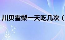 川贝雪梨一天吃几次（川贝雪梨一天吃几次）