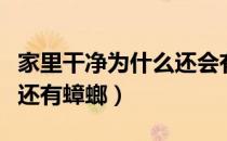 家里干净为什么还会有螨虫（家里干净为什么还有蟑螂）