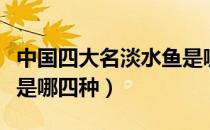 中国四大名淡水鱼是哪四种（四大名贵淡水鱼是哪四种）